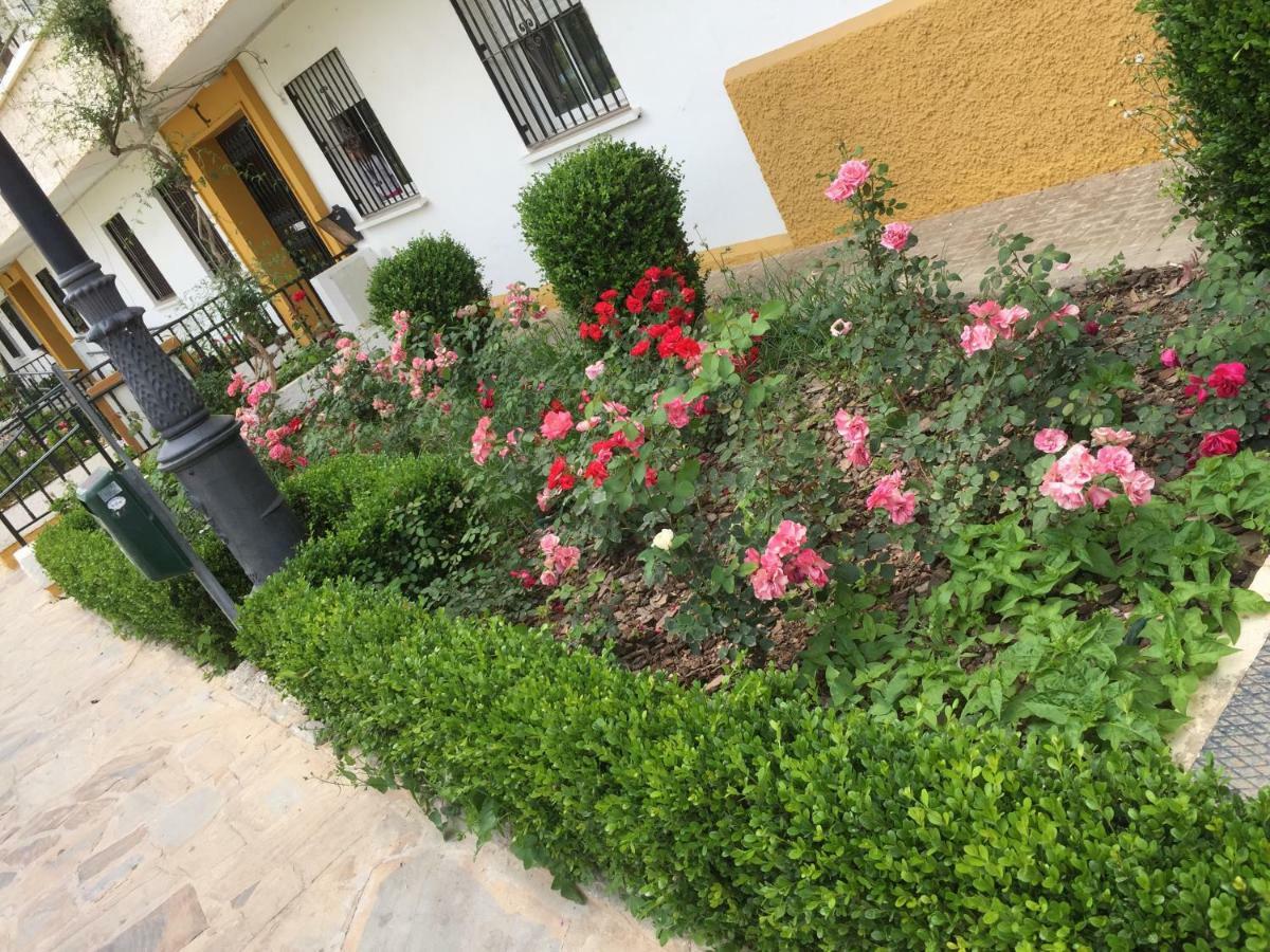 Panoramic City Center Flat In Arroyo De La Miel Exterior photo